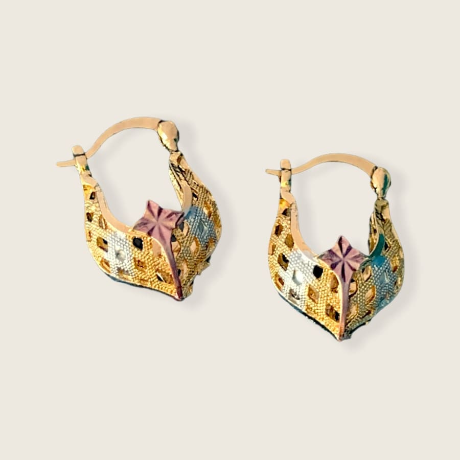 Angie's hoops earrings in 18k of gold plated